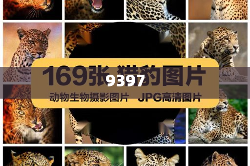 女子用180克黃金手捧花做陪嫁全鏈釋義、專家解讀解釋與落實(shí)-洞察虛假的本質(zhì)