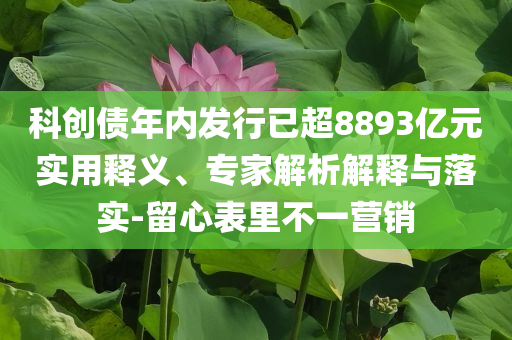 科創(chuàng)債年內(nèi)發(fā)行已超8893億元實(shí)用釋義、專家解析解釋與落實(shí)-留心表里不一營銷