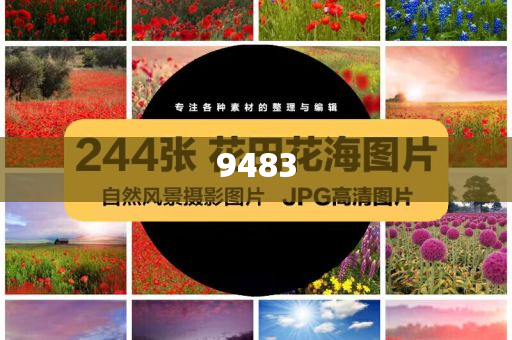 king擺渡 第5頁