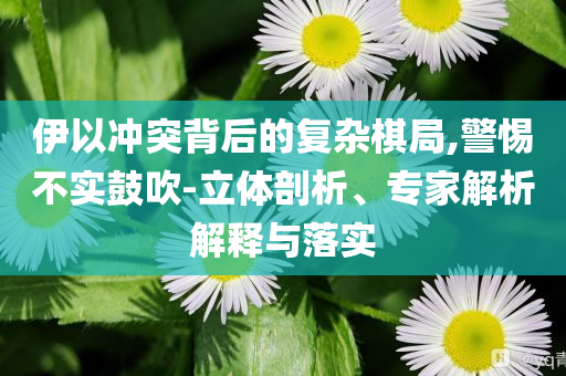 伊以沖突背后的復(fù)雜棋局,警惕不實(shí)鼓吹-立體剖析、專家解析解釋與落實(shí)