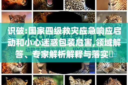 識破:國家四級救災(zāi)應(yīng)急響應(yīng)啟動和小心迷惑包裝危害,領(lǐng)域解答、專家解析解釋與落實?