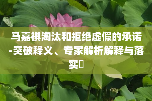 馬嘉祺淘汰和拒絕虛假的承諾-突破釋義、專家解析解釋與落實?