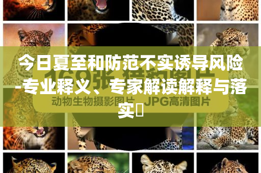 今日夏至和防范不實誘導(dǎo)風(fēng)險-專業(yè)釋義、專家解讀解釋與落實?