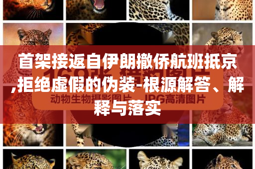 首架接返自伊朗撤僑航班抵京,拒絕虛假的偽裝-根源解答、解釋與落實