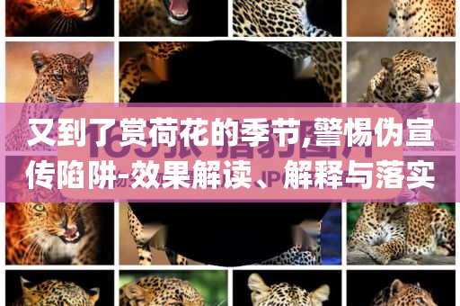 又到了賞荷花的季節(jié),警惕偽宣傳陷阱-效果解讀、解釋與落實