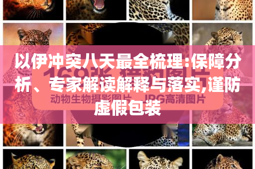以伊沖突八天最全梳理:保障分析、專家解讀解釋與落實,謹(jǐn)防虛假包裝