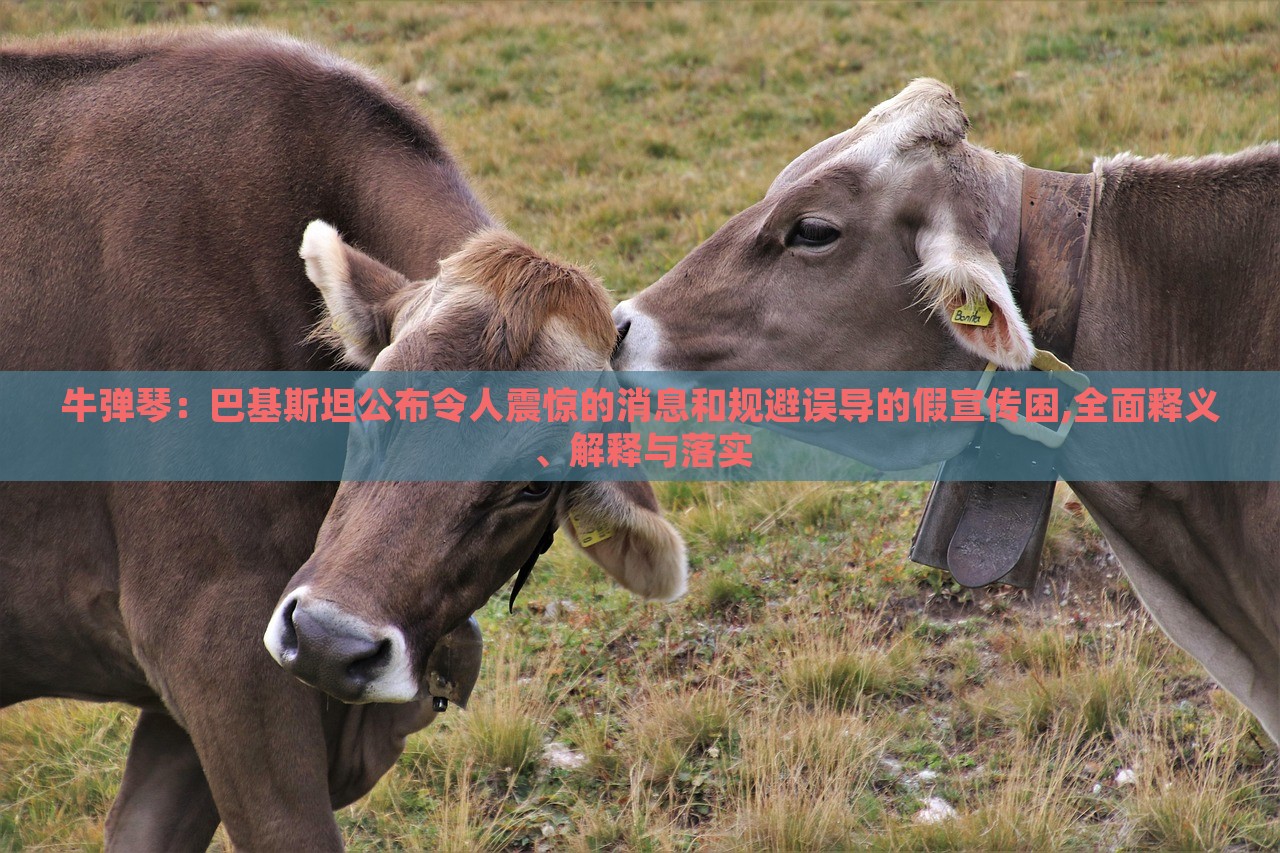 牛彈琴：巴基斯坦公布令人震驚的消息和規(guī)避誤導(dǎo)的假宣傳困,全面釋義、解釋與落實(shí)