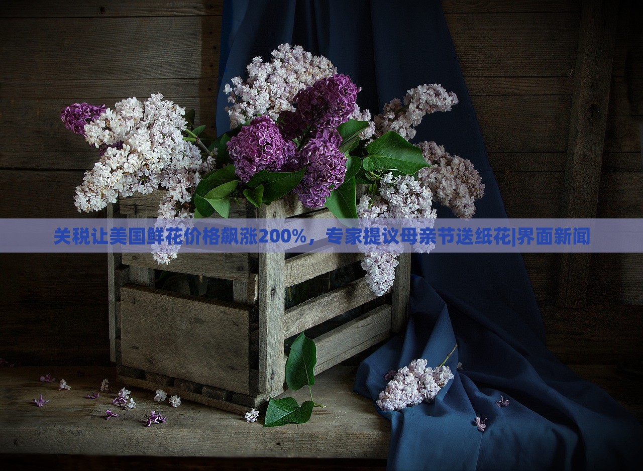 關(guān)稅讓美國鮮花價(jià)格飆漲200%，專家提議母親節(jié)送紙花|界面新聞