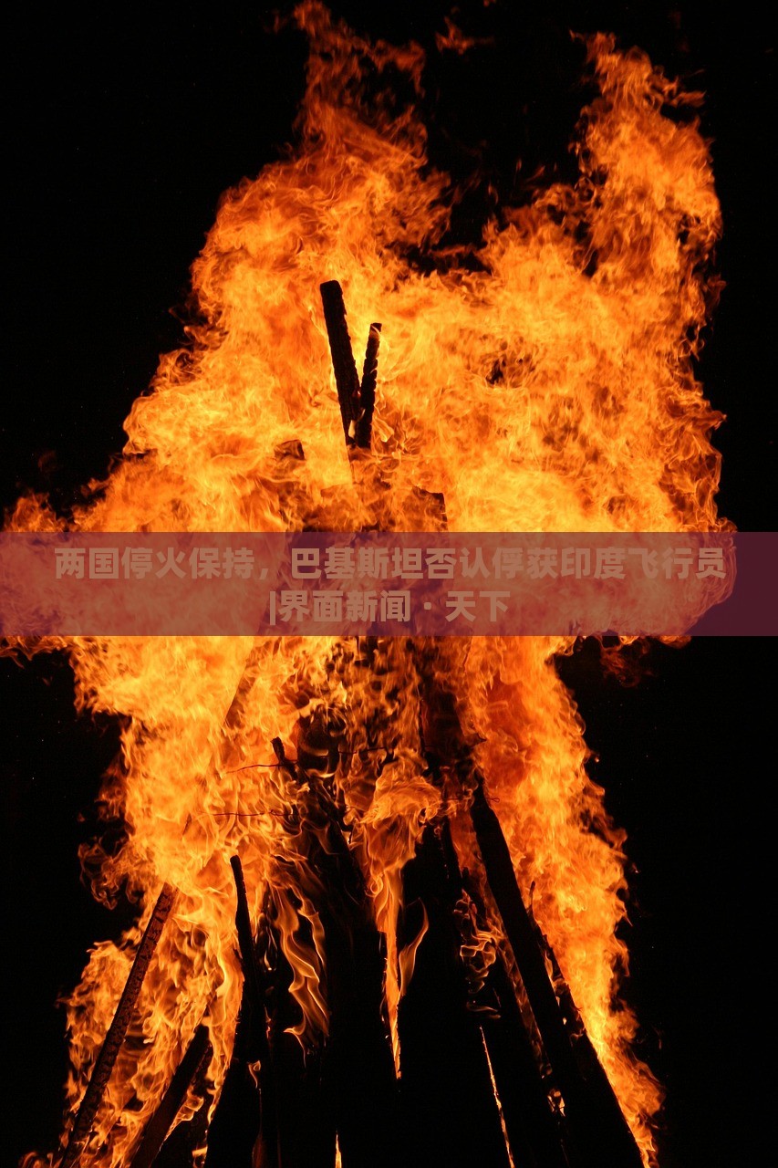 兩國?；鸨３?，巴基斯坦否認俘獲印度飛行員|界面新聞 · 天下