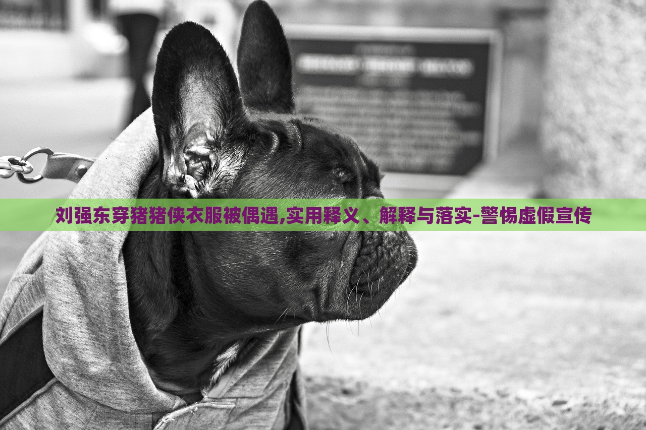 劉強(qiáng)東穿豬豬俠衣服被偶遇,實用釋義、解釋與落實-警惕虛假宣傳