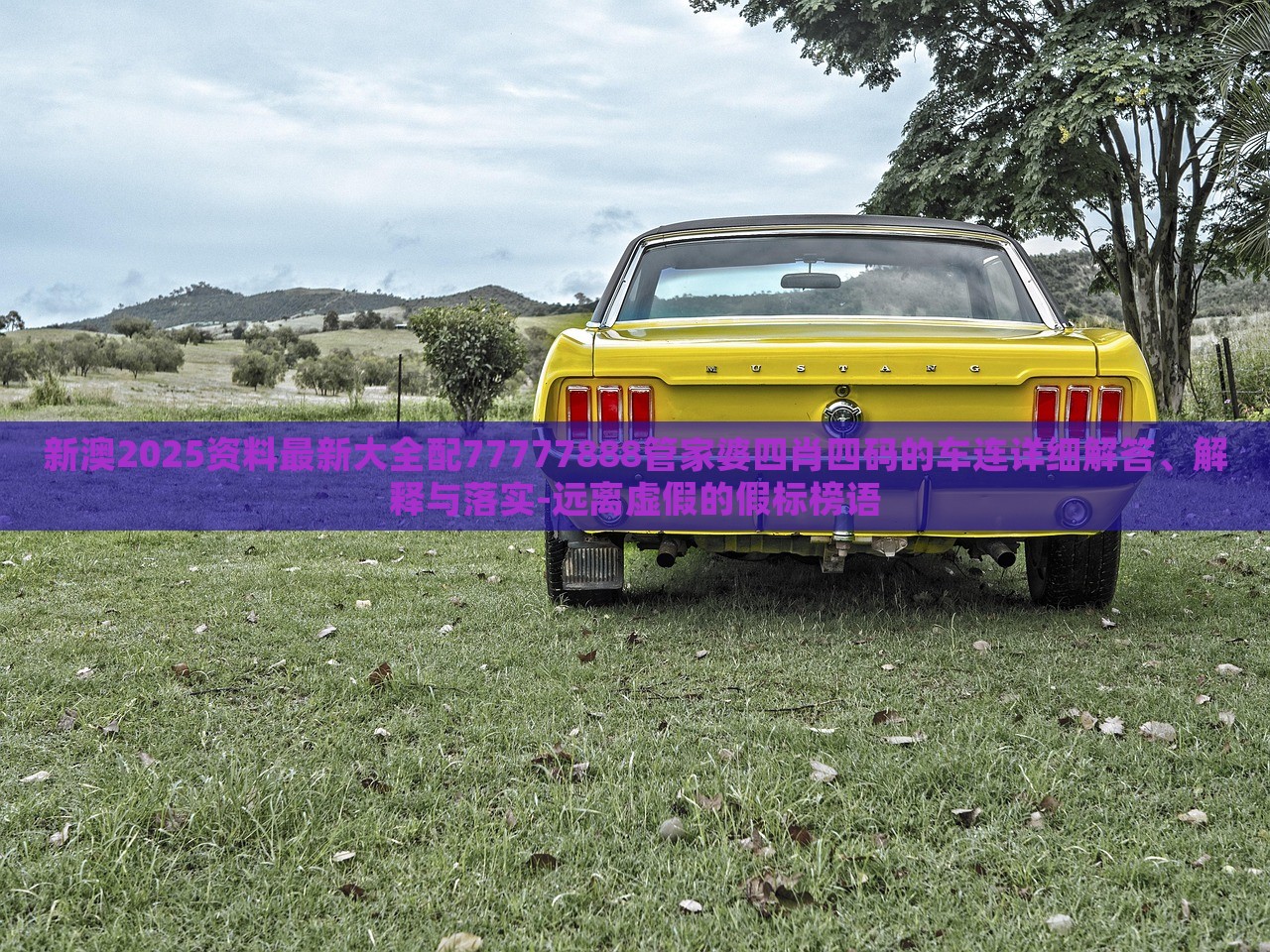 新澳2025資料最新大全配77777888管家婆四肖四碼的車連詳細(xì)解答、解釋與落實(shí)-遠(yuǎn)離虛假的假標(biāo)榜語 新澳2025資料最新大全配77777888管家婆四肖四碼的車連詳細(xì)解答、解釋與落實(shí)-遠(yuǎn)離虛假的假標(biāo)榜語